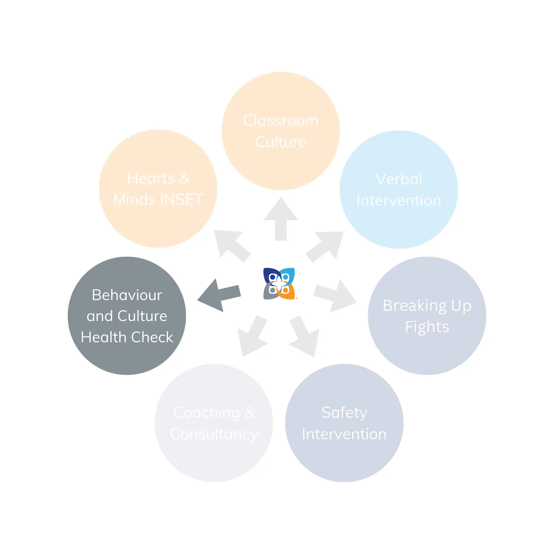 Graphic representation of the CPI Education training programme ecosystem: School Behaviour Audit