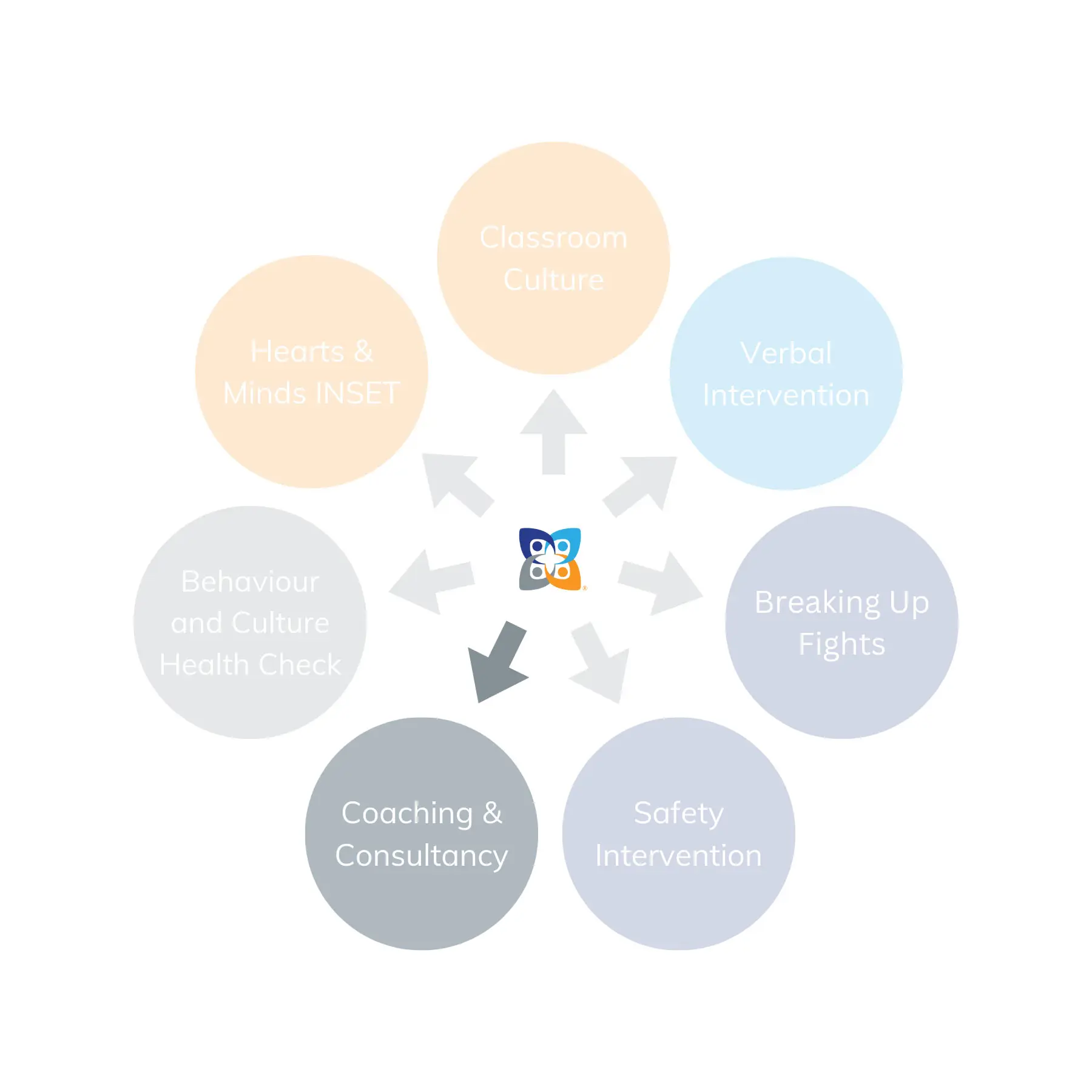 Graphic representation of the CPI Education training programme ecosystem: Coaching & Consultancy