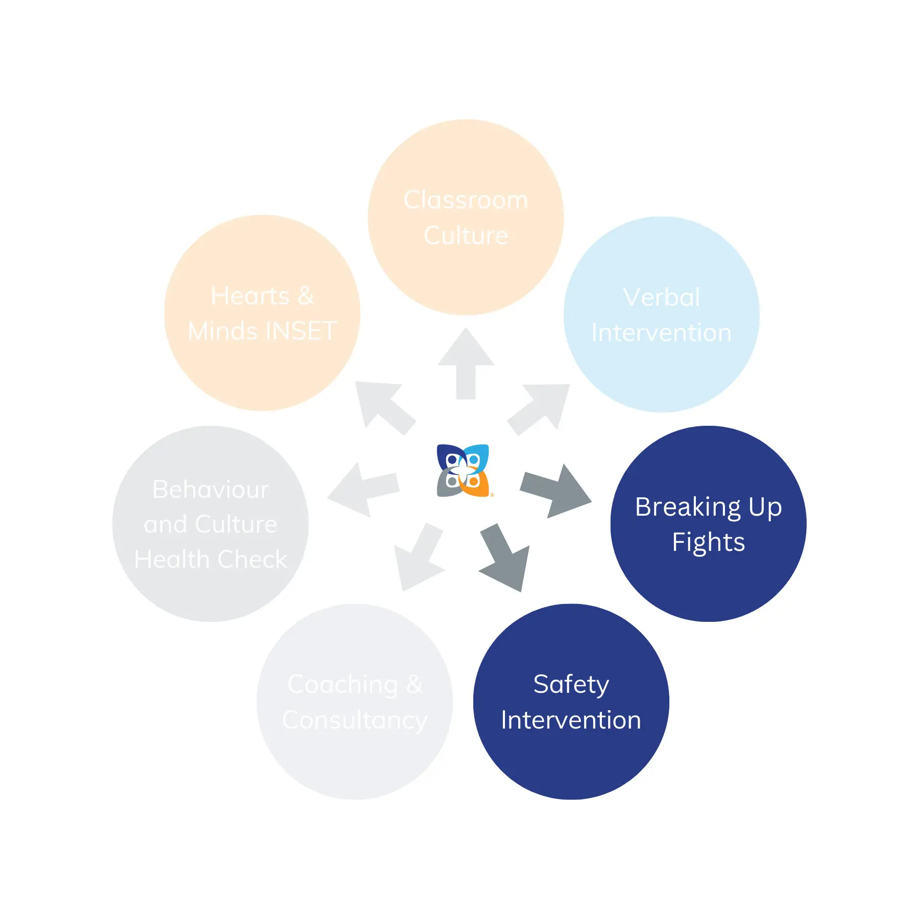 Graphic representation of the CPI Education training programme ecosystem: Physical Intervention Training