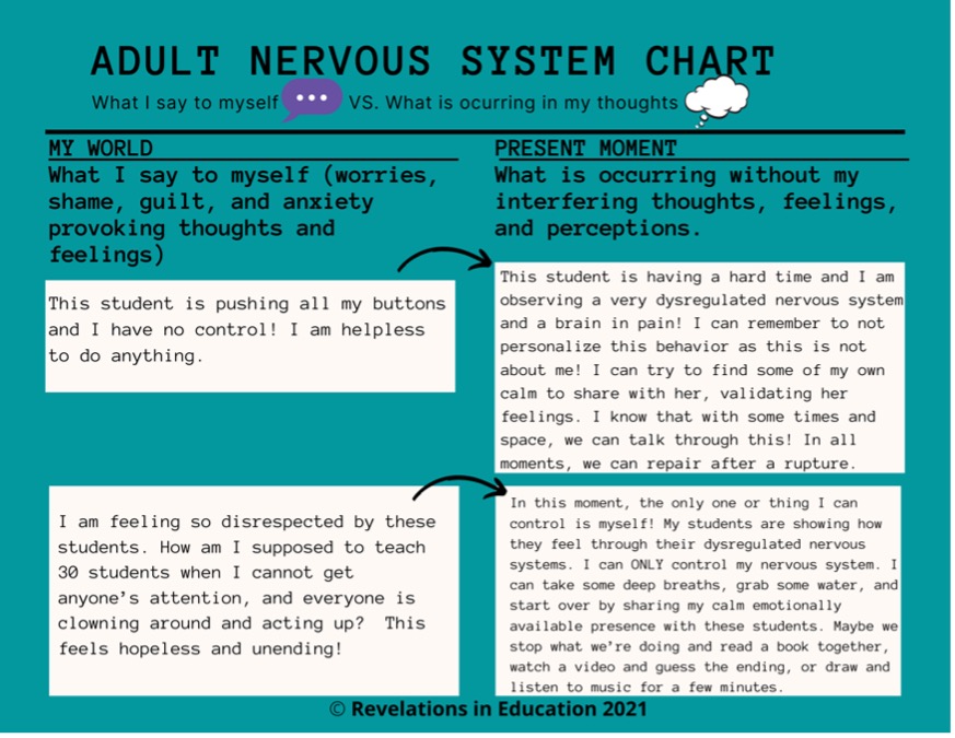 Adult nervous system chart