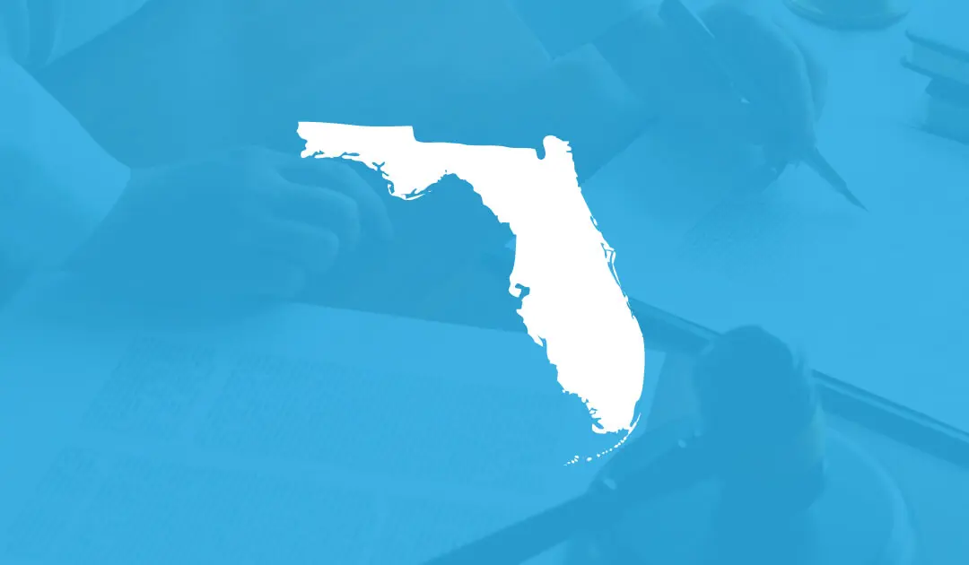 Florida state image cyan background