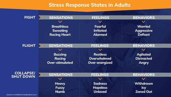Stress response in adults